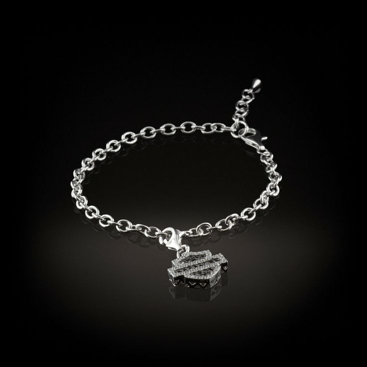 Picture of Silver Charm Bracelet